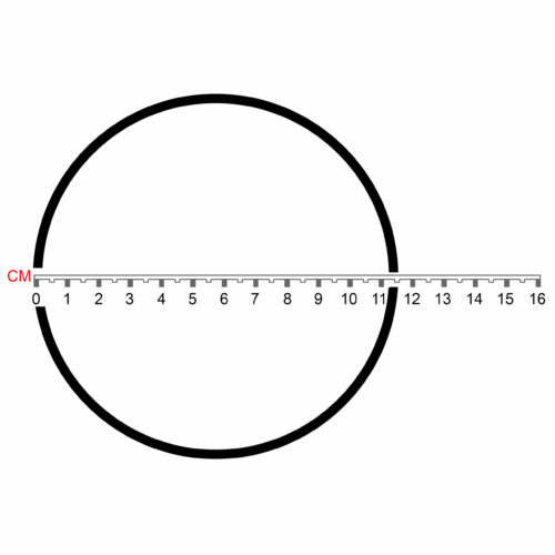 Emaux SS Pump O-Ring for Lid